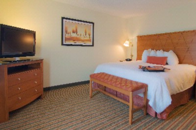 Hampton Inn Petersburg Southpark Mall - Spacious King Room