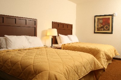 Comfort Inn Suites - 2-queen Room