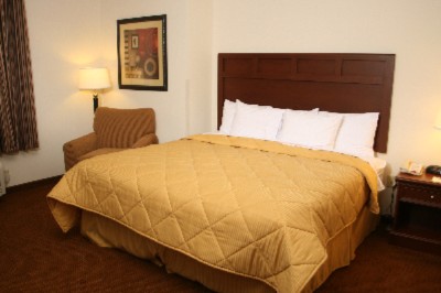 Comfort Inn Suites - King Room