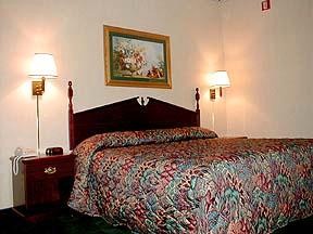 Quality Suites - Guest Room With 1 King Bed