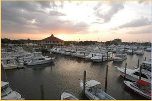 Harbor View