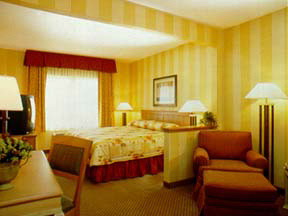 Holiday Inn Express Hotel & Suites - Our rooms are Studio Suites