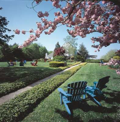Spring Time At The Southampton Inn