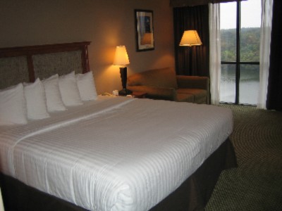 Holiday Inn Town Lake - 