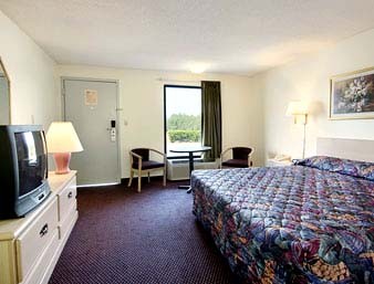 King Bed Room