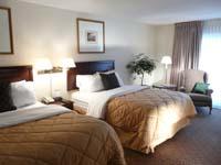 Standard Double Queen Guestroom