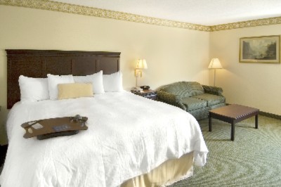 Hampton Inn Richmond Midlothian Turnpike - Luxurious King Room
