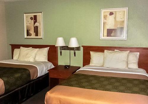 Suite Living Area