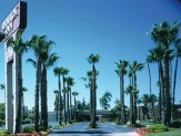 Hotel Driveway