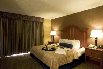 Embassy Suites San Antonio Nw - King Suite