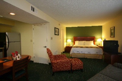 Residence Inn by Marriott Eagan - Studio King Suite