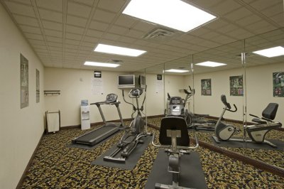 Best Western Tampa Airport Inn & Suites - 
