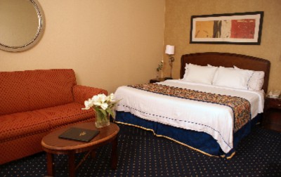 Guest Room - 1 King Bed