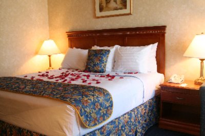 Best Western Metro Center Inn - 