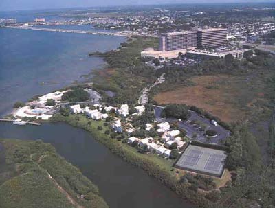 Grand Hyatt Tampa Bay - 