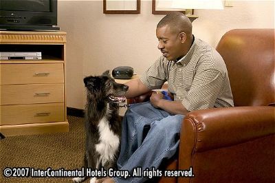 Candlewood Suites Has A Pet Friendly Atmosphere