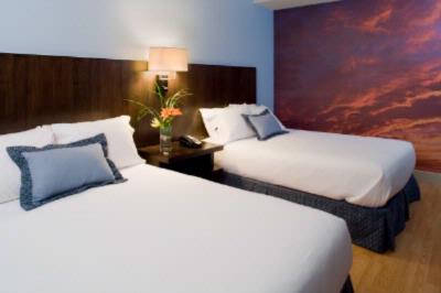 Free In Room Wifi- High Speed Internet Access
