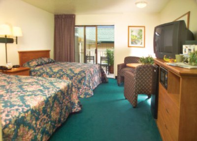 Spacious Guest Room
