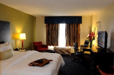 Hampton Inn & Suites - King Study