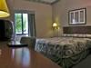 Our Standard King Room