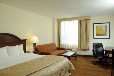 Comfort Inn & Conference Center - 