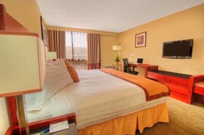The Palmdale Hotel - King Room