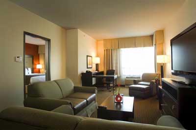 Holiday Inn Dfw South - 