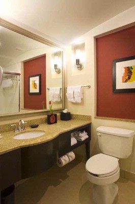 Holiday Inn Dfw South - 