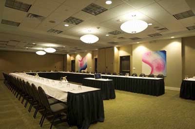 Holiday Inn Dfw South - 