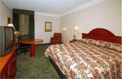 Newly Renovated Guest Rooms With Large Well Lit Workspace