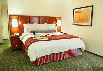 Marriott Detroit Airport - Airport Marriott King Bedroom