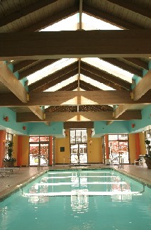 Marriott Detroit Airport - Airport Marriott Pool Area