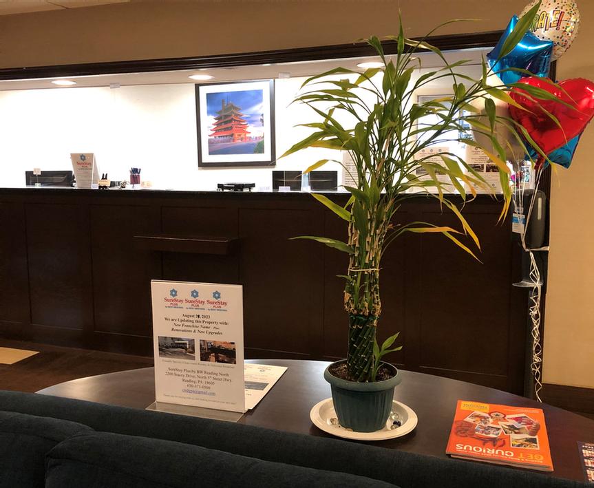 Comfort Inn - 