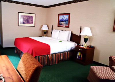 Holiday Inn Denver Central - Relaxing Plush One King Bed
