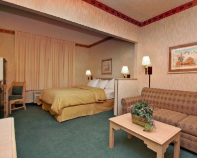 Comfort Suites Peoria Sports Complex - 1 King Bed Studio Suite