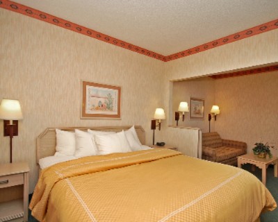 Comfort Suites Peoria Sports Complex - Enjoy Our Upgraded New Bedding