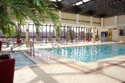 Hilton St. Louis at the Ballpark - Indoor Pool
