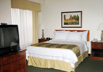 Studio Suite