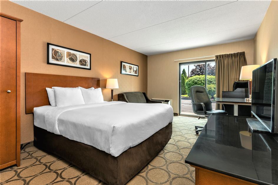 Comfort Inn - Our Guest Room