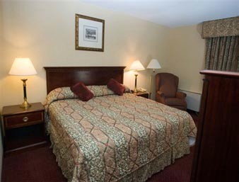 Super 8 Motel - King Bed Room