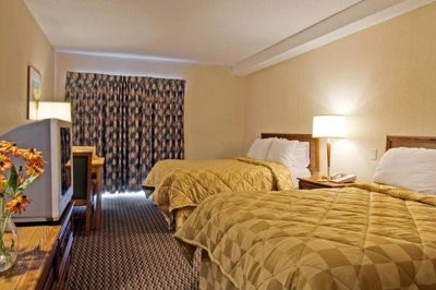 Two Double Bedded Room