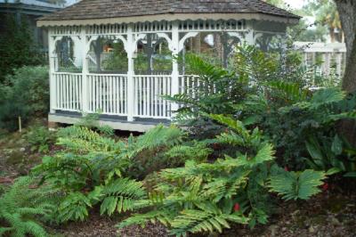 Our Gazebo