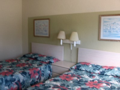 Golden Nugget Beach Club - 