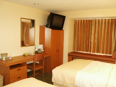 Microtel Inn & Suites - View Of The Double Room
