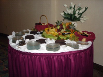 Raleigh Clarion Hotel State Capital - Wedding3