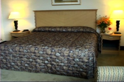 Raleigh Clarion Hotel State Capital - Standard King Room