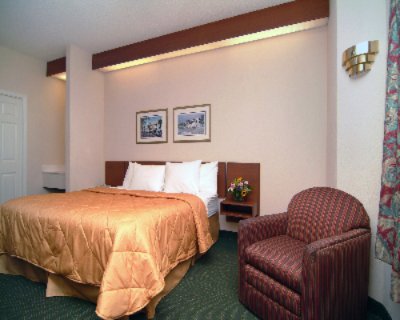 King Size Room