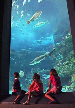 Country Inns & Suites Wilmington - Nc Aquarium At Fort Fisher