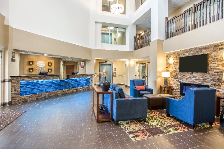 Comfort Suites - King Suites