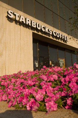 Doubletree Hotel St. Louis at Westport - Starbuck's Located In Westport Plaza